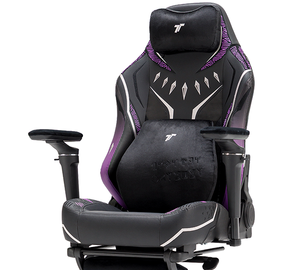 Learn more about TTRacing Maxx Pro Gaming Chair