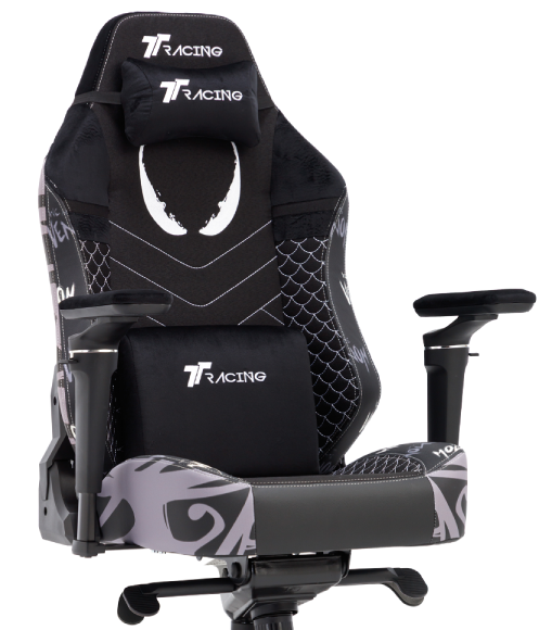 Learn more about TTRacing Maxx Gaming Chair