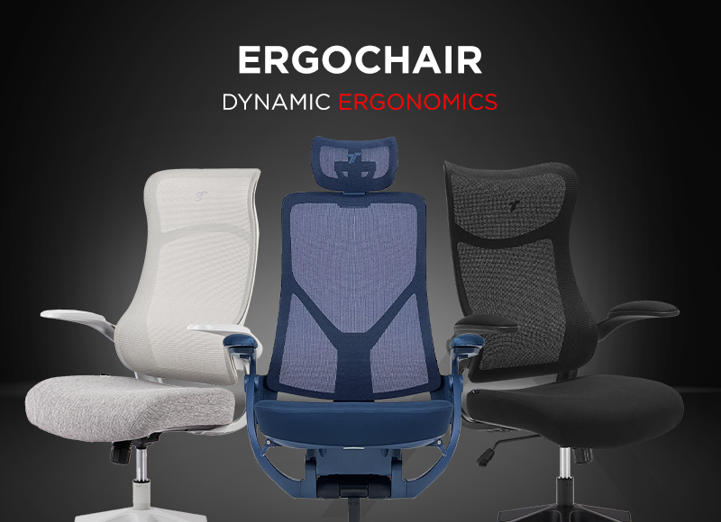 Ergonomic Office Chair