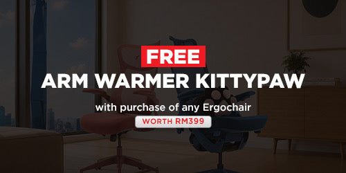 Ergochair + FREE KittyPaw