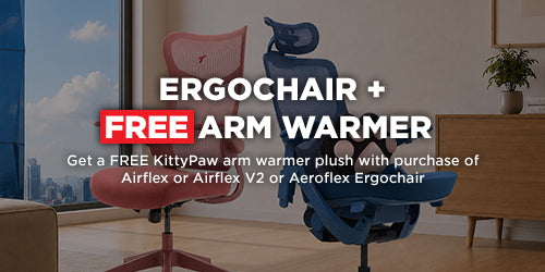 Ergochair + FREE KittyPaw