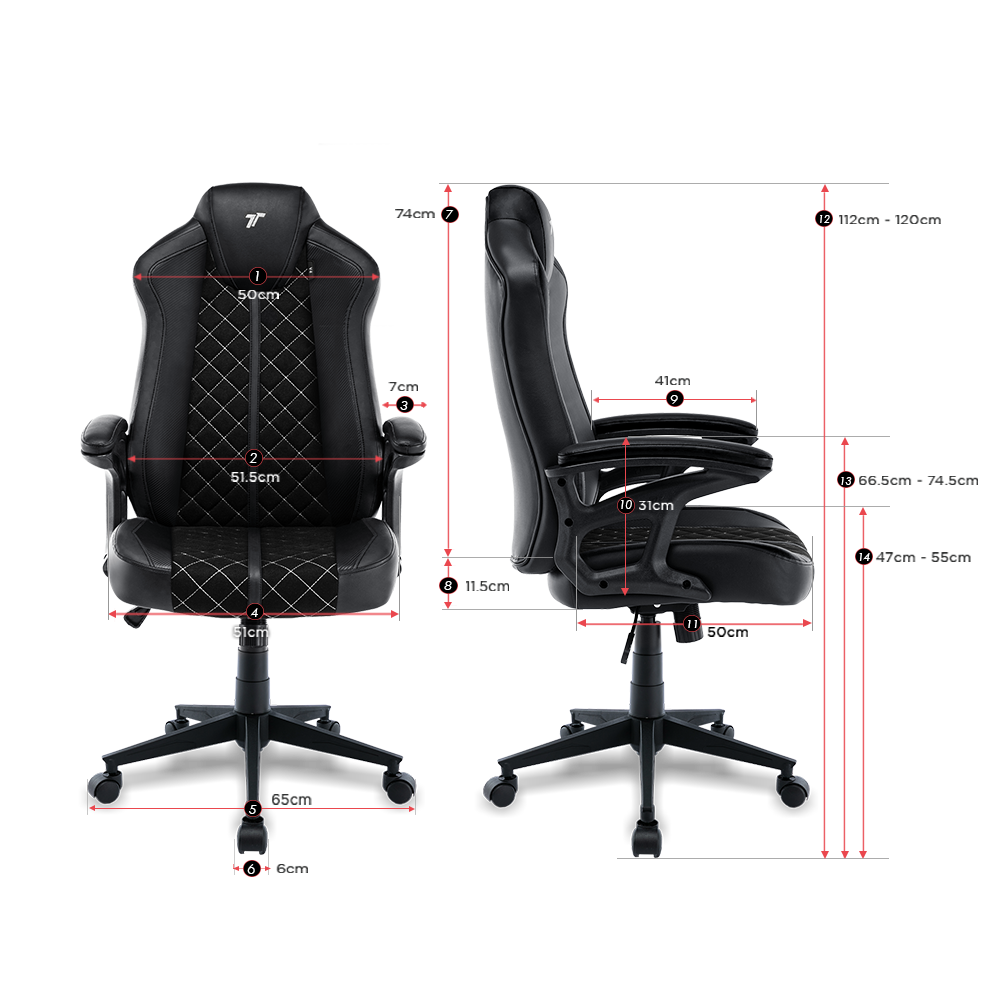 TTRacing Duo V4 Gaming Chair