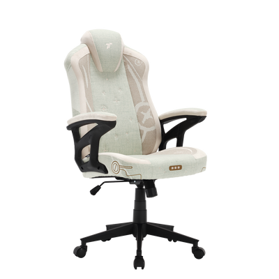 TTRacing Gaming Chairs - Gaming Chairs for Everyone