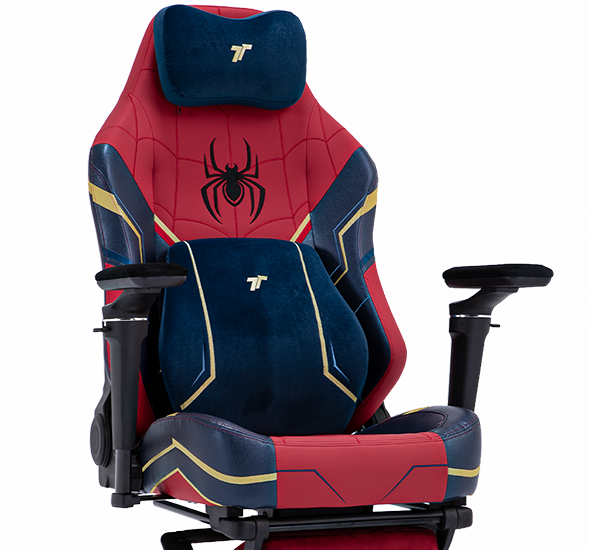 Learn more about TTRacing Maxx Pro Gaming Chair