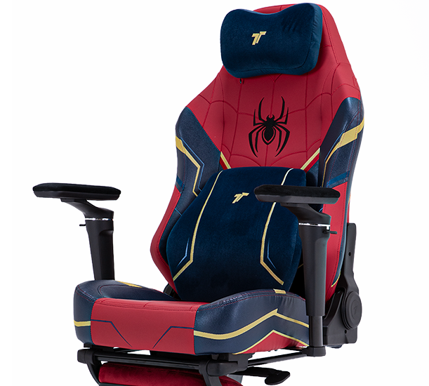 Learn more about TTRacing Maxx Pro Gaming Chair