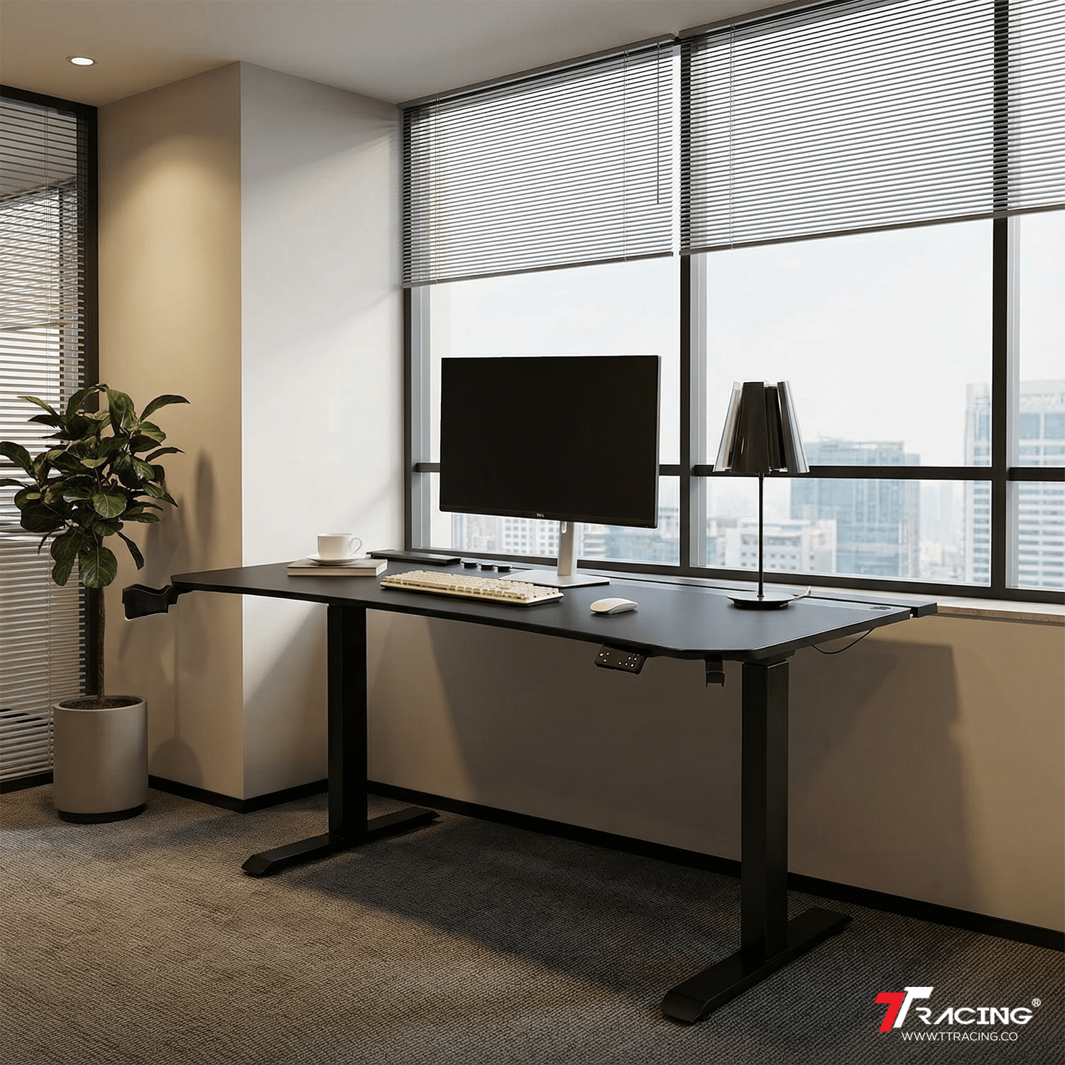 TTRacing Product CP Images